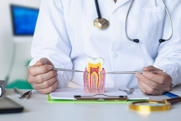 Best Emergency Care for Gum Disease in Ball, LA